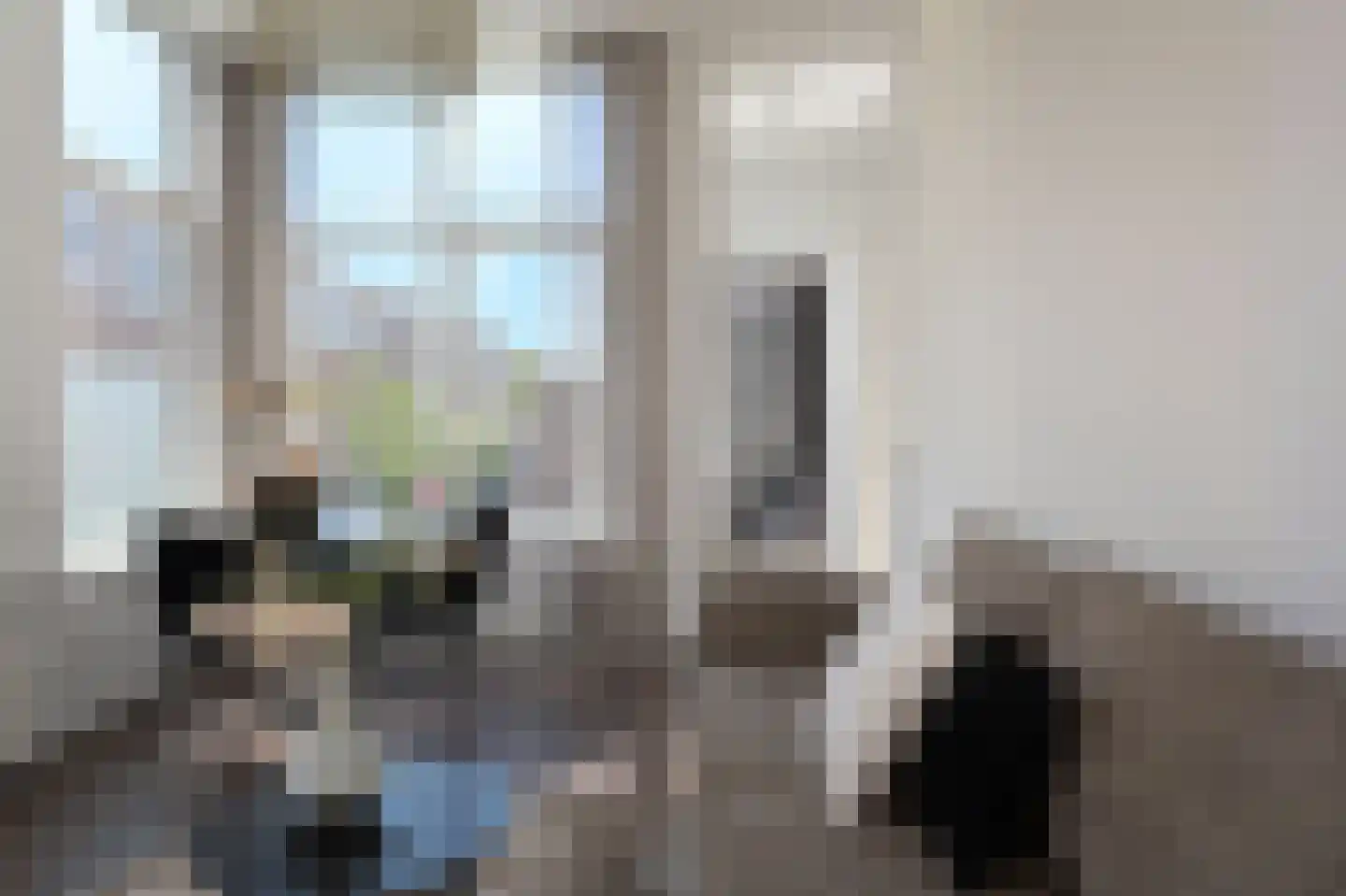 Frederik Ruyschstraat 67 Den Haag thumbnail 12