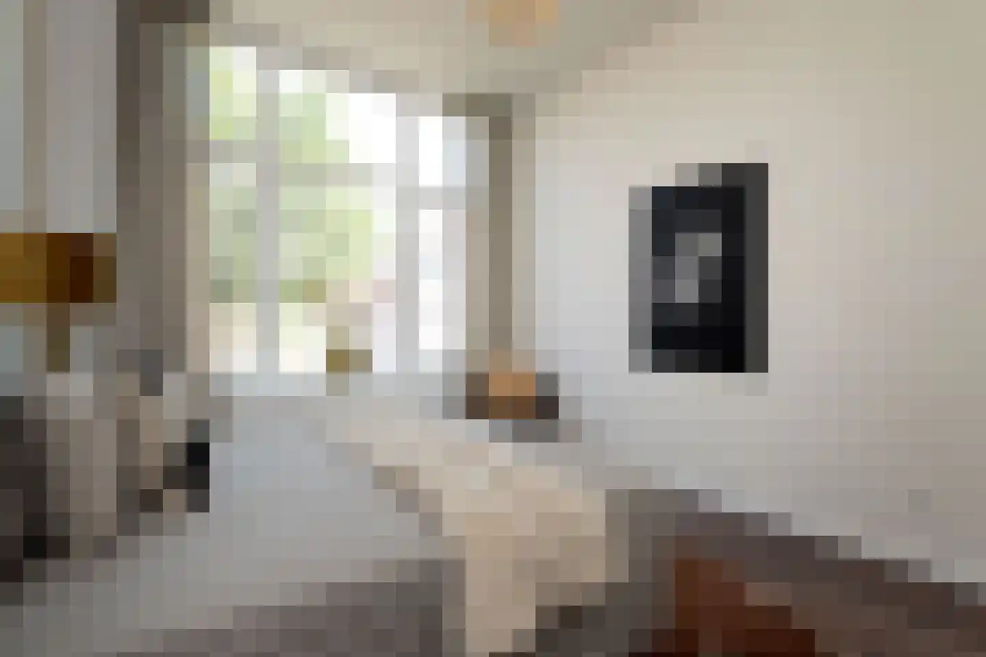 Frederik Ruyschstraat 67 Den Haag thumbnail 22