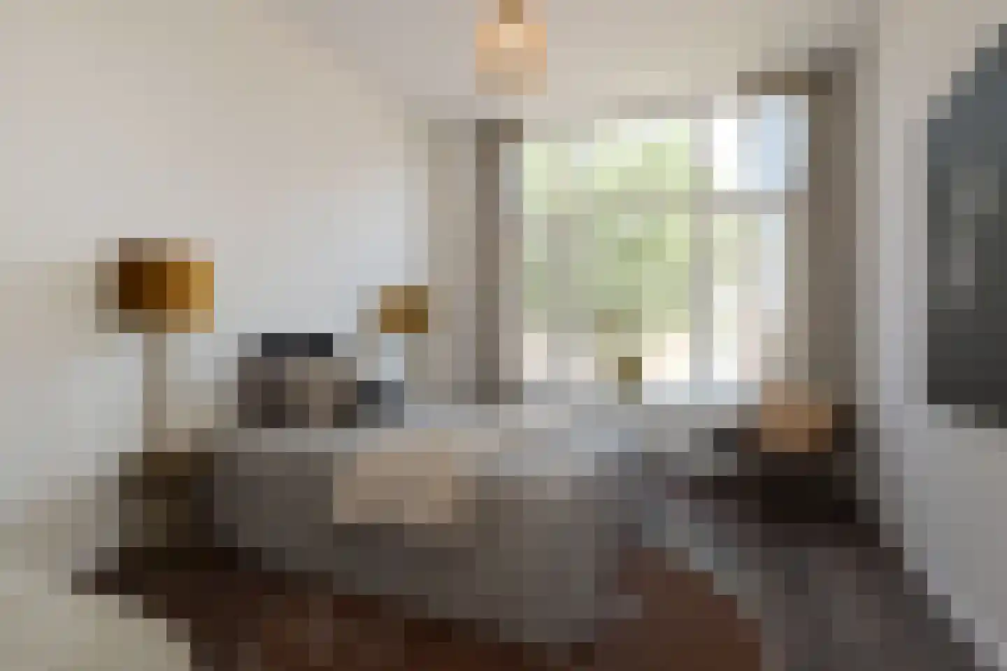 Frederik Ruyschstraat 67 Den Haag thumbnail 4