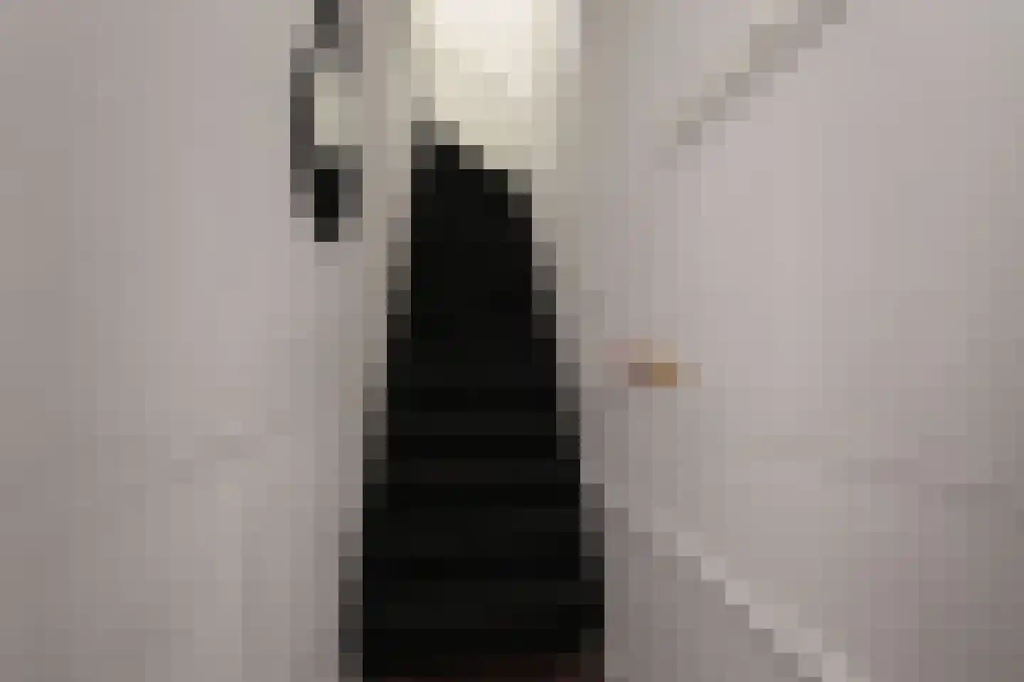 Frederik Ruyschstraat 67 Den Haag thumbnail 6