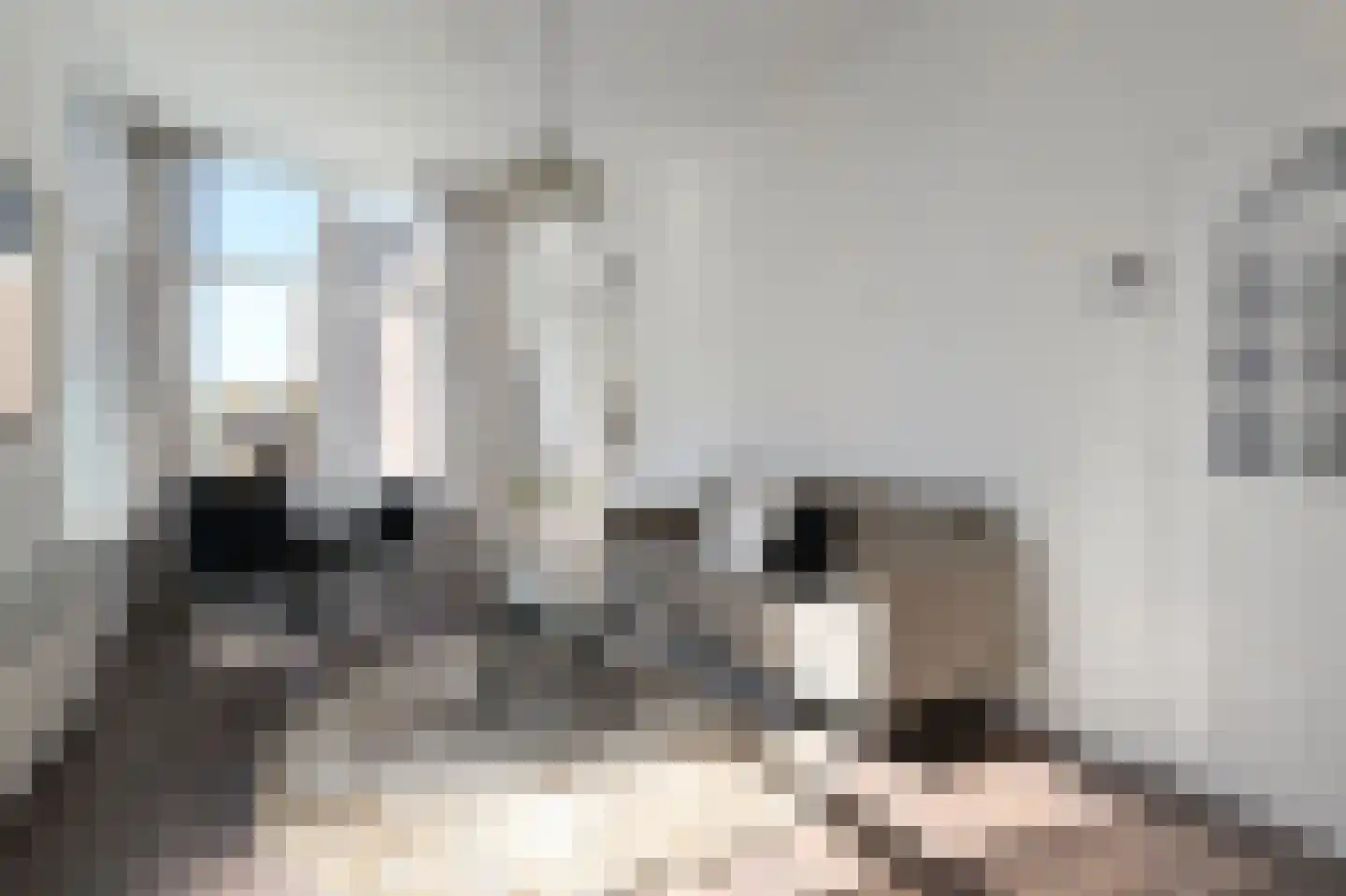 Frederik Ruyschstraat 67 Den Haag thumbnail 7