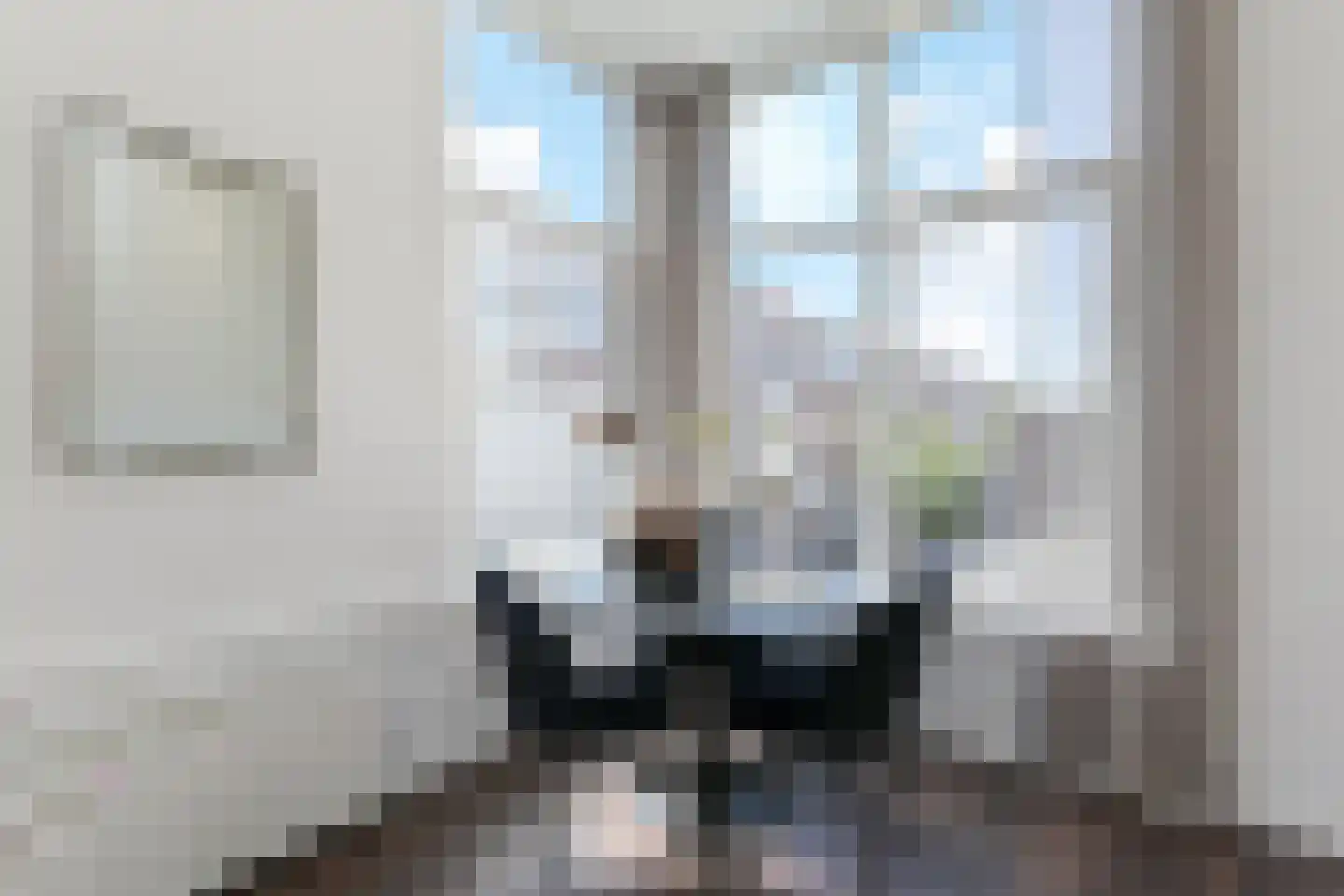 Frederik Ruyschstraat 67 Den Haag thumbnail 8
