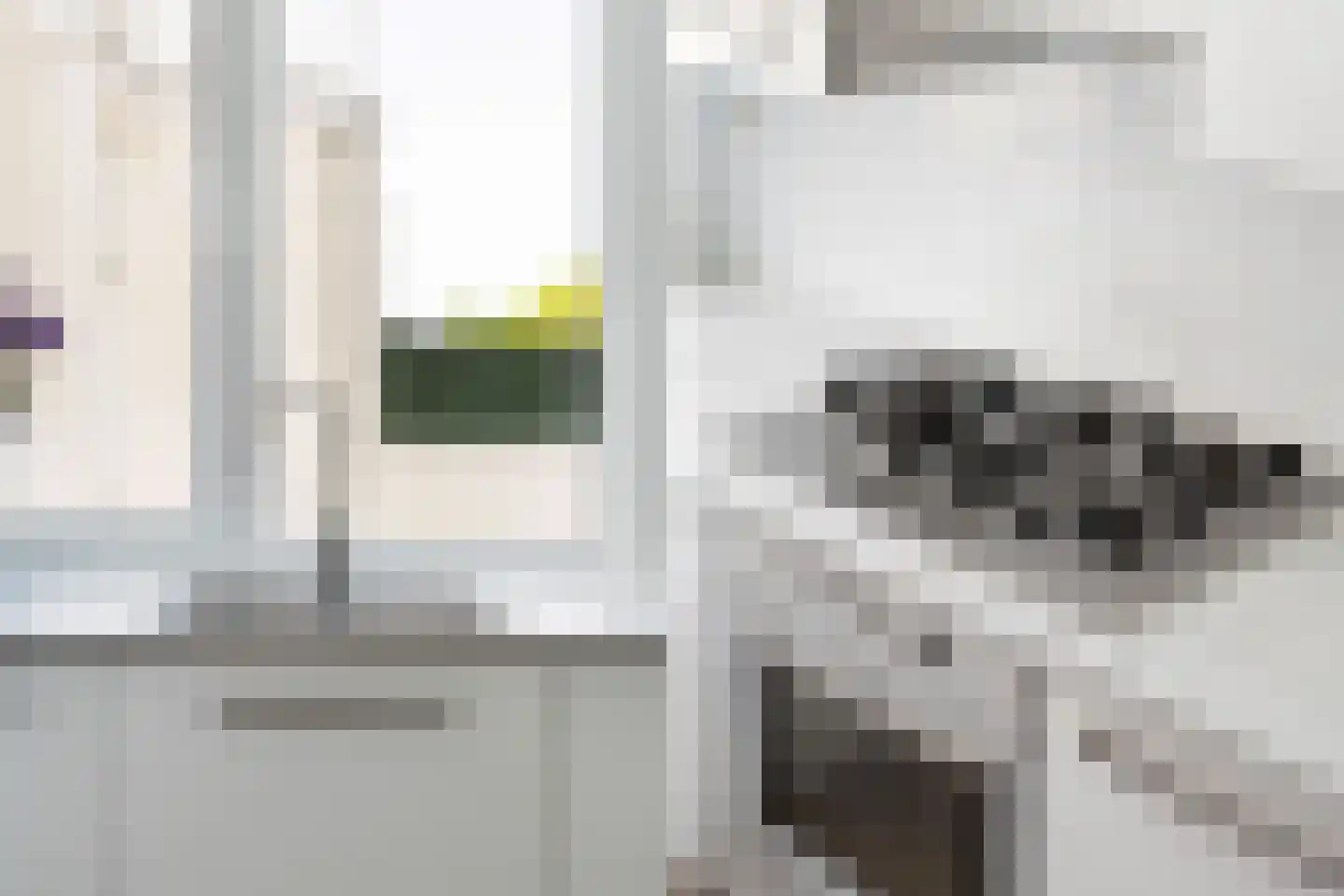 Frederik Ruyschstraat 9 Den Haag thumbnail 10
