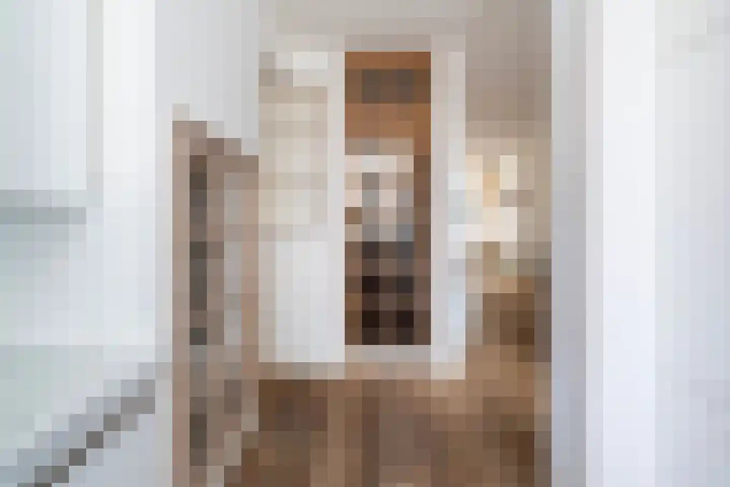 Frederik Ruyschstraat 9 Den Haag thumbnail 11