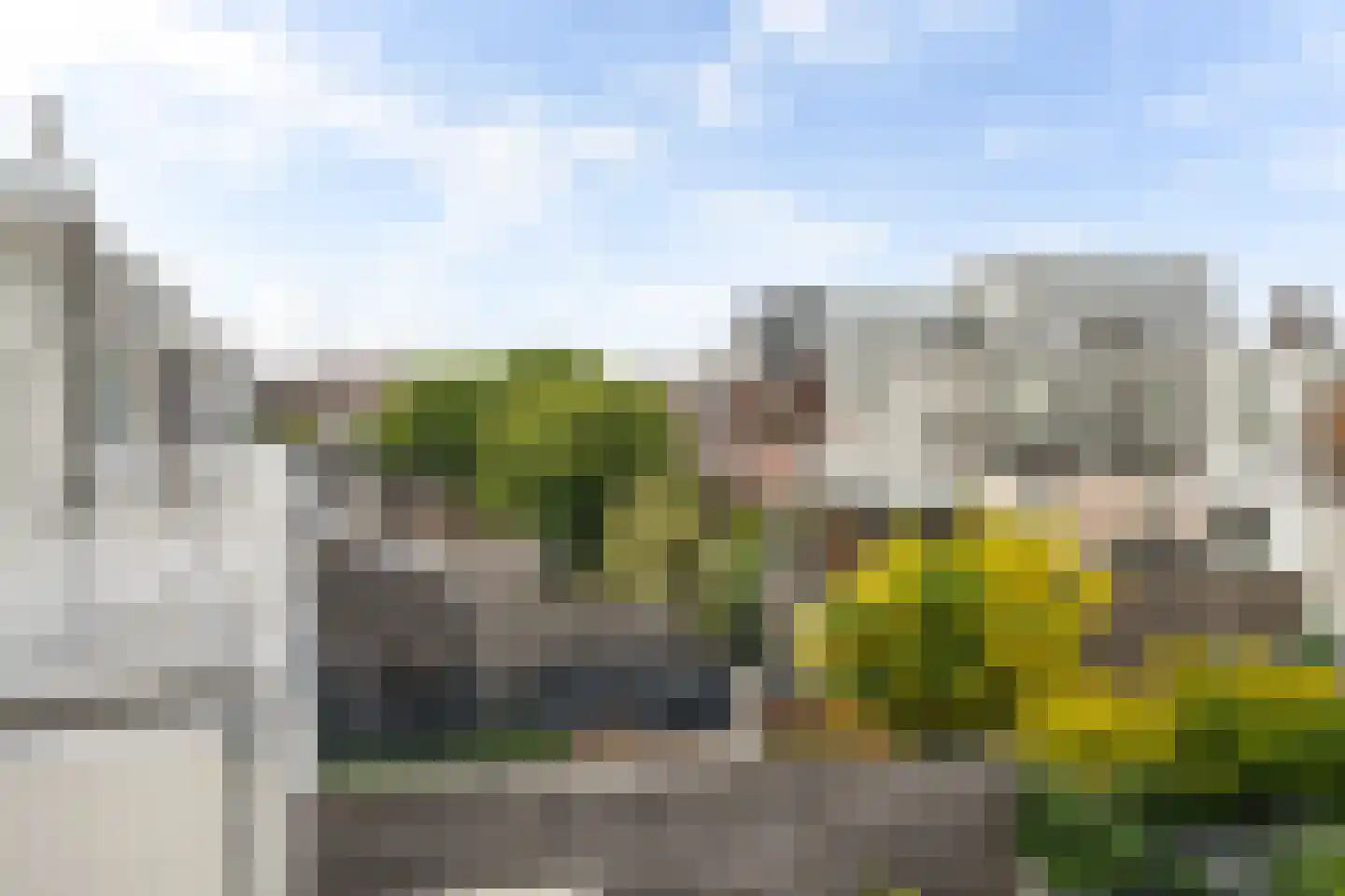 Frederik Ruyschstraat 9 Den Haag thumbnail 14