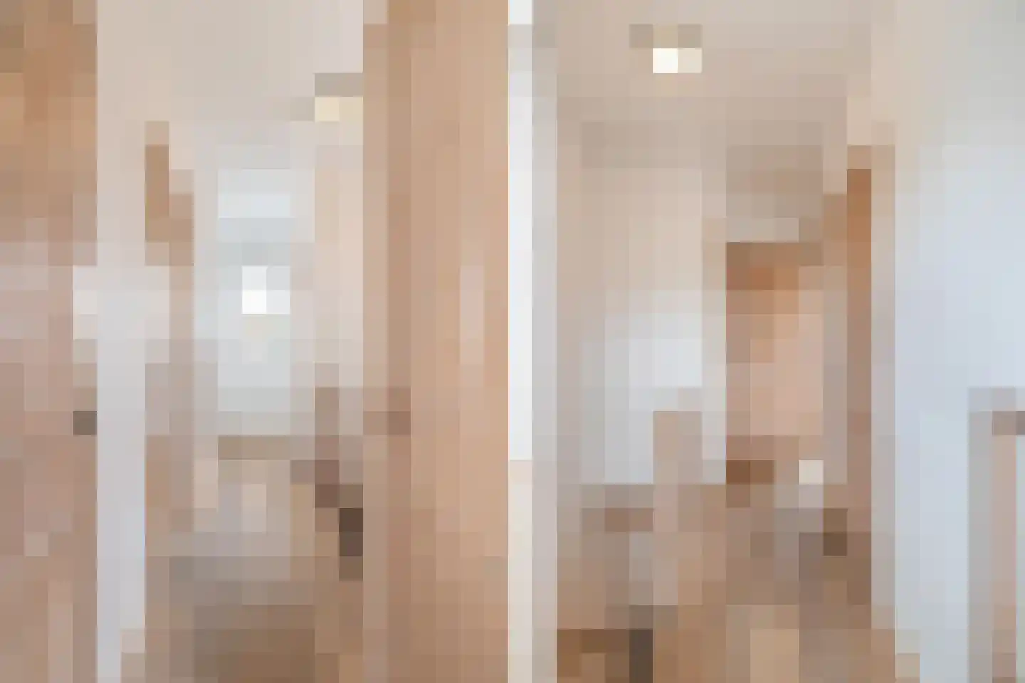 Frederik Ruyschstraat 9 Den Haag thumbnail 15