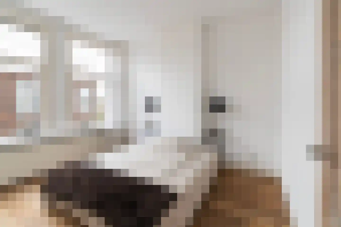 Frederik Ruyschstraat 9 Den Haag thumbnail 16