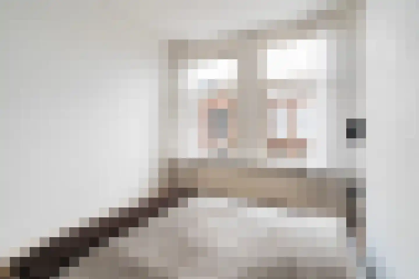 Frederik Ruyschstraat 9 Den Haag thumbnail 17