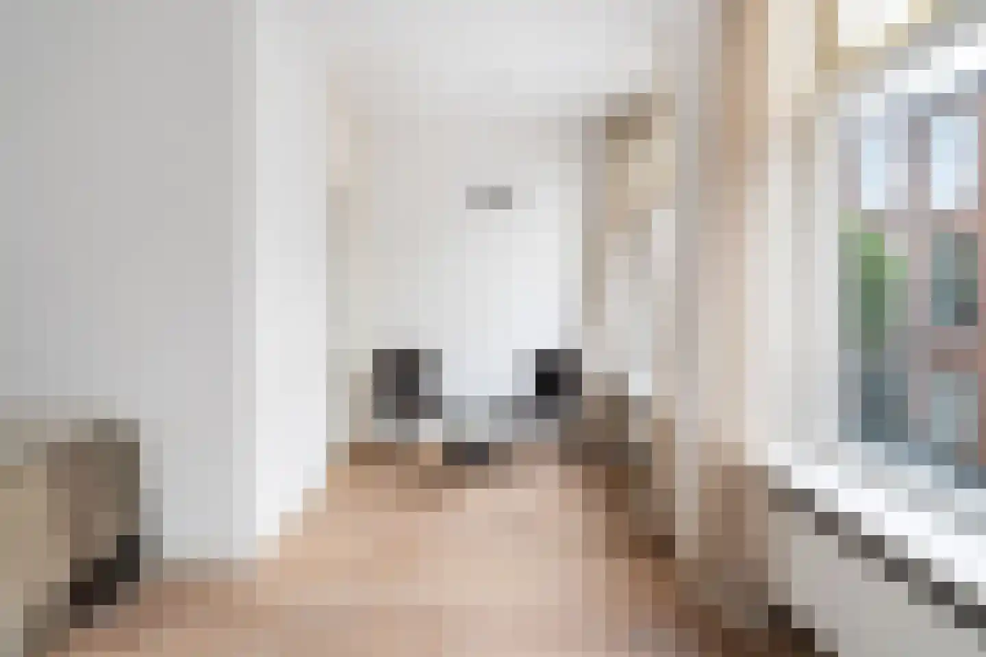 Frederik Ruyschstraat 9 Den Haag thumbnail 4