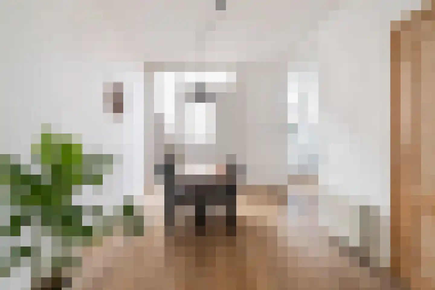 Frederik Ruyschstraat 9 Den Haag thumbnail 7