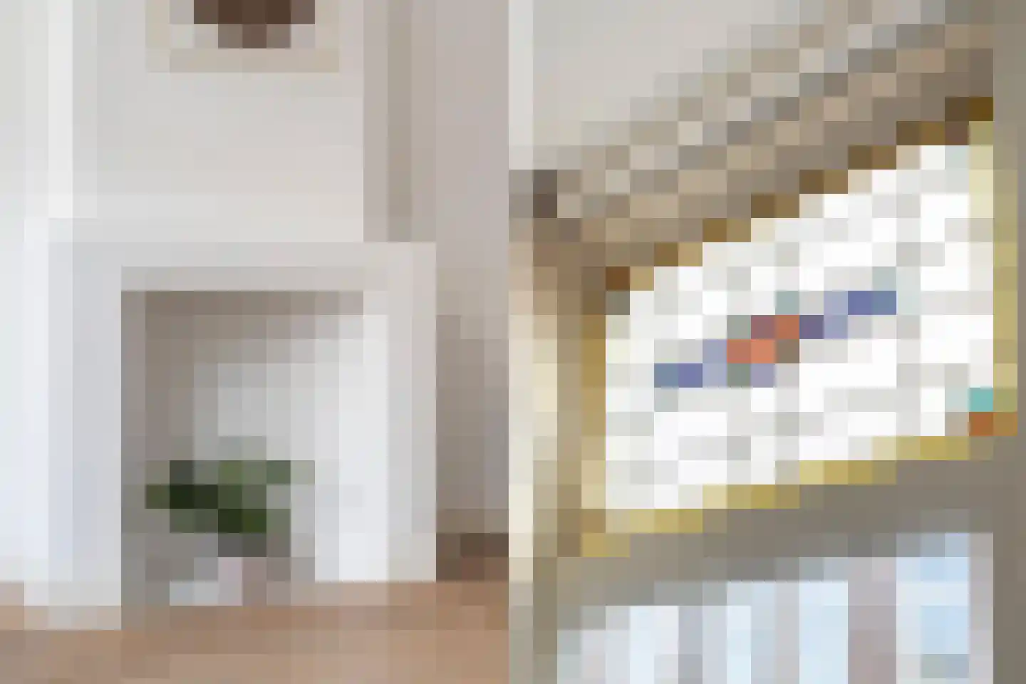 Frederik Ruyschstraat 9 Den Haag thumbnail 8