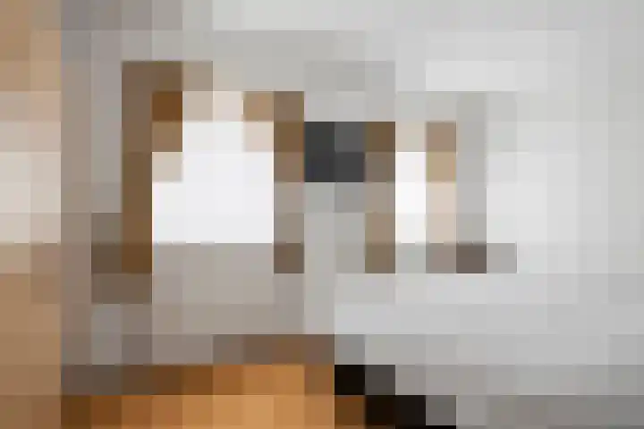 Frederik van Badenstraat 3 Deventer thumbnail 18