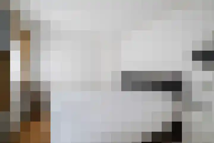 Frederik van Badenstraat 3 Deventer thumbnail 19