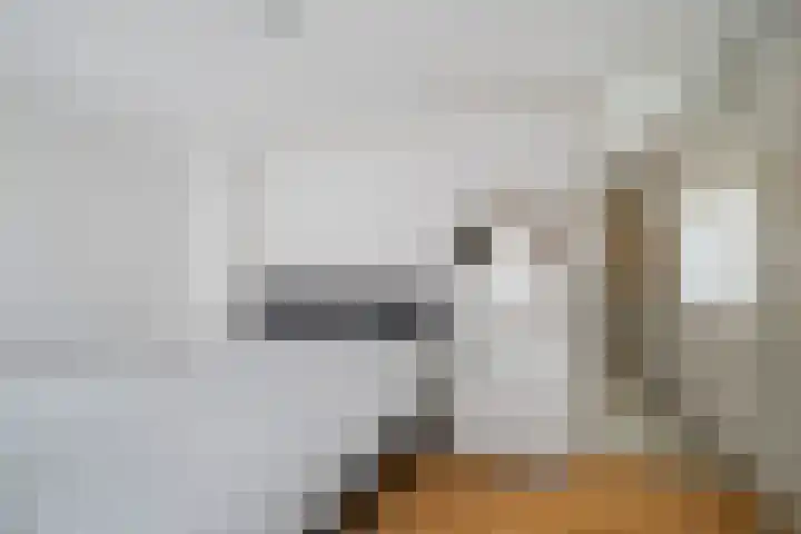 Frederik van Badenstraat 3 Deventer thumbnail 20