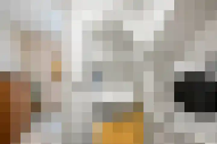 Frederik van Badenstraat 3 Deventer thumbnail 25