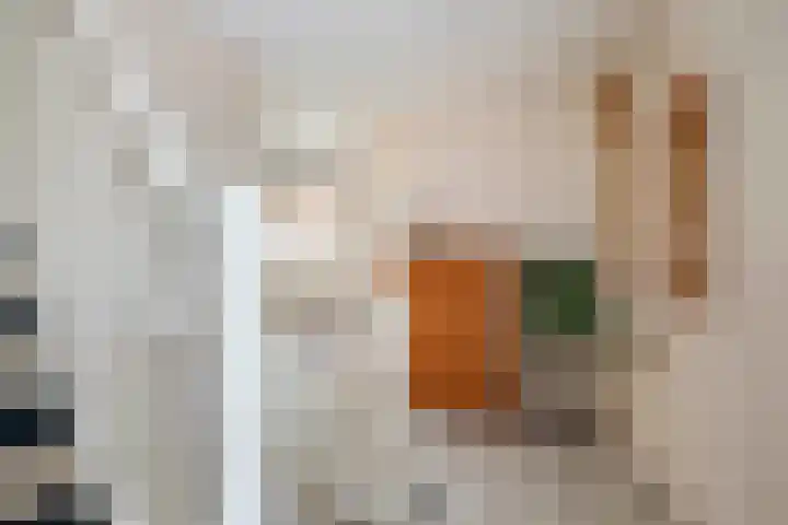 Frederik van Badenstraat 3 Deventer thumbnail 27