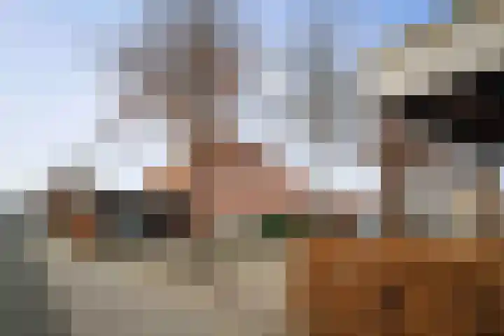 Frederik van Badenstraat 3 Deventer thumbnail 4