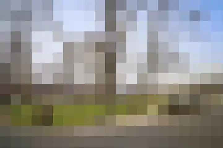 Frederik van Badenstraat 3 Deventer thumbnail 40