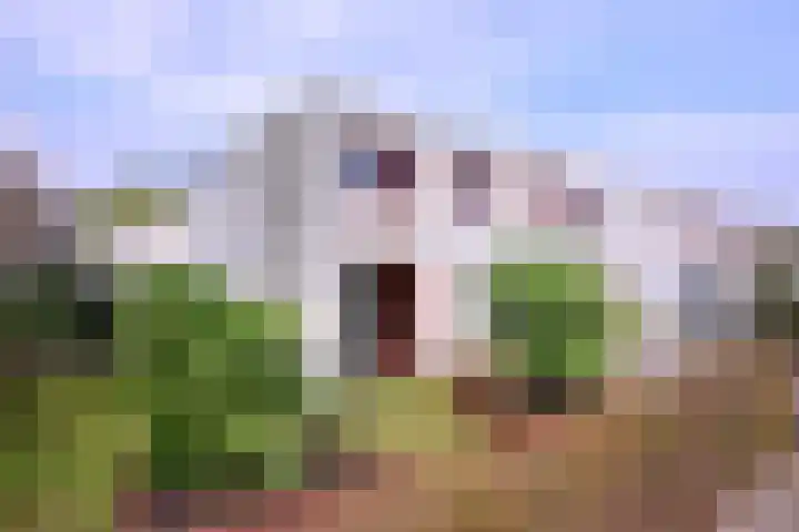 Frederik van Blankenheimstraat 1 in Deventer