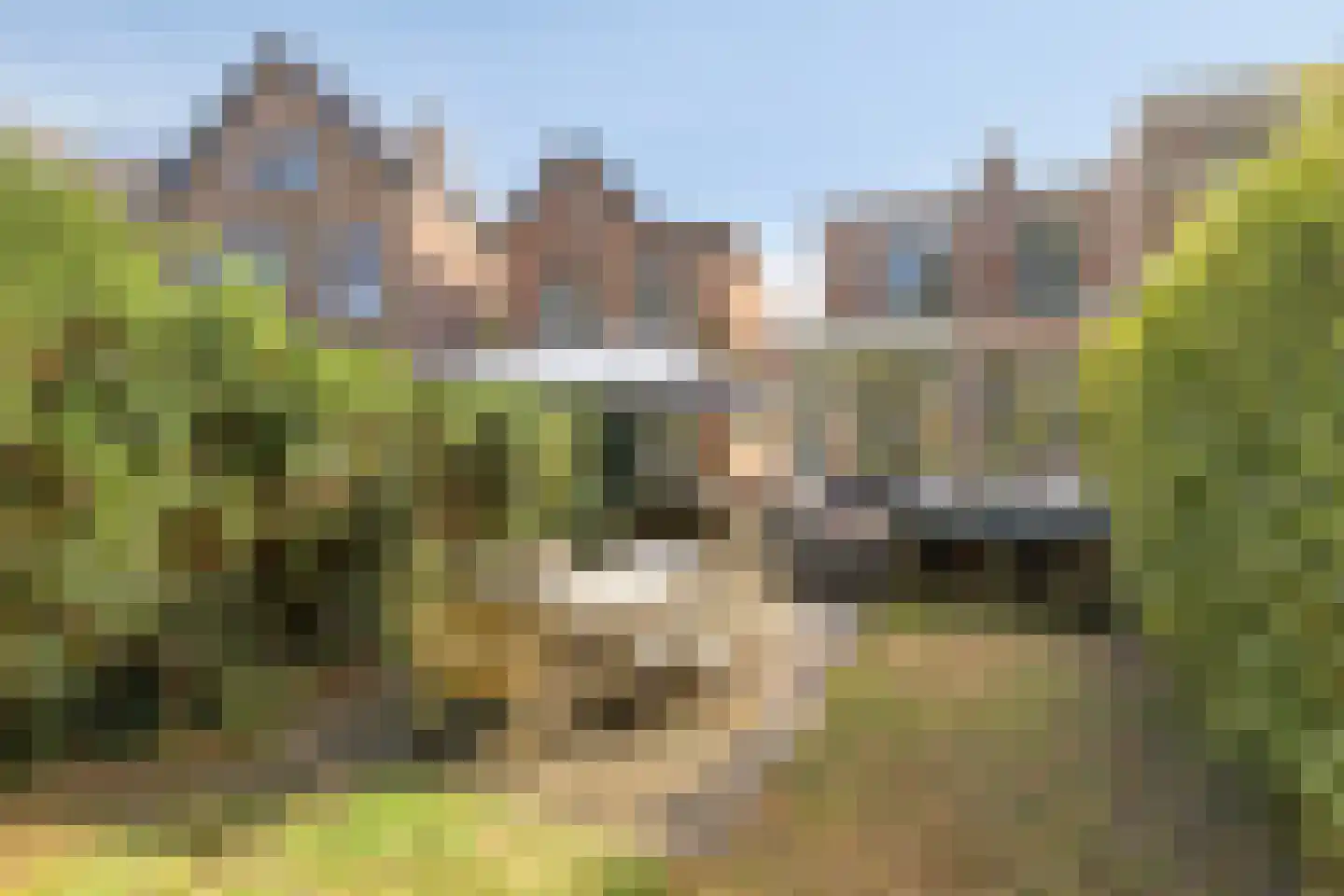 Frederik van Blankenheymstraat 14 Amersfoort thumbnail 33