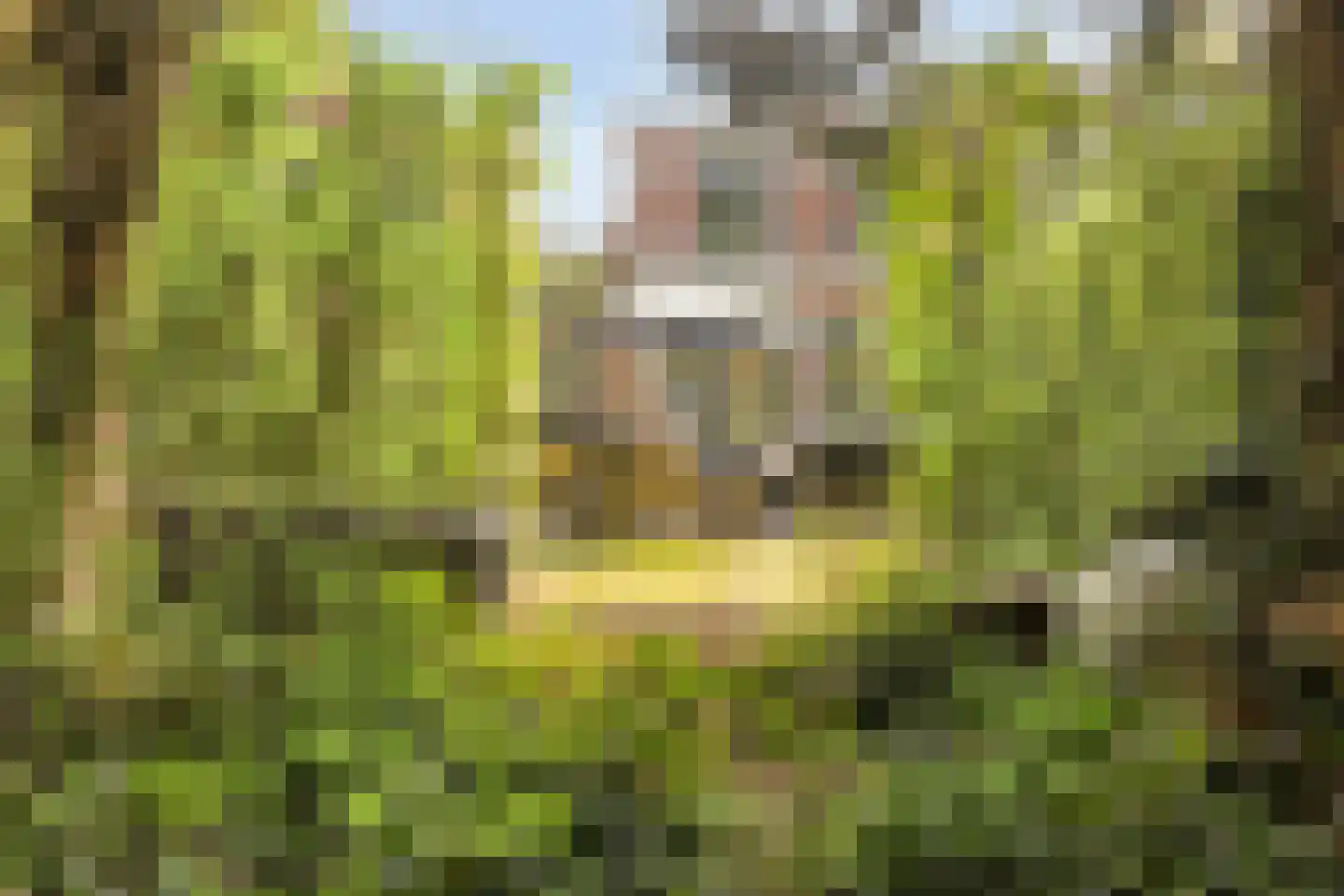 Frederik van Blankenheymstraat 14 Amersfoort thumbnail 35