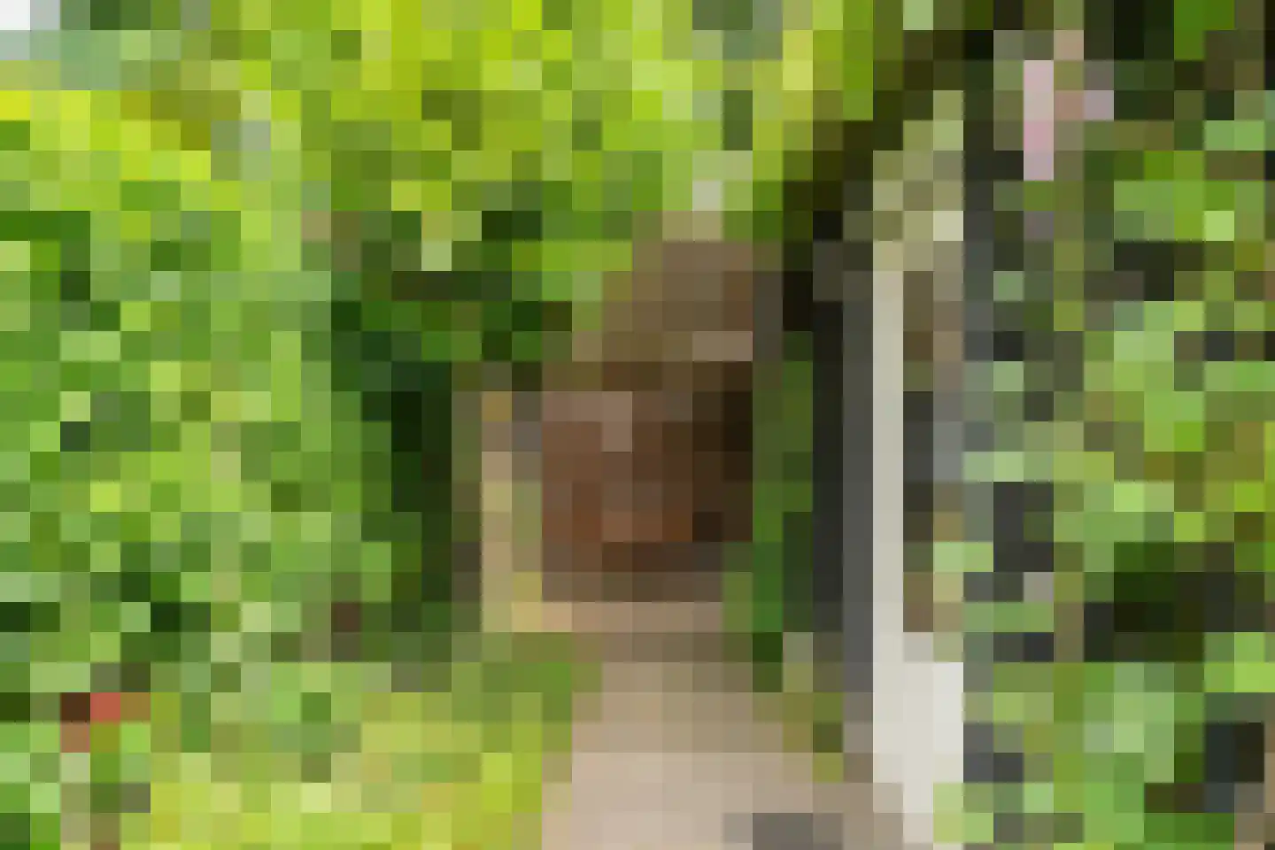 Frederik van Blankenheymstraat 24 Amersfoort thumbnail 36