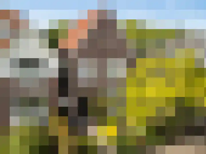 Frederik van Blankenheymstraat 28 Amersfoort thumbnail 76