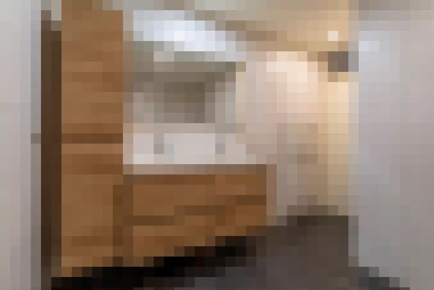 Frederik van de Paltshof 4 Rhenen thumbnail 24