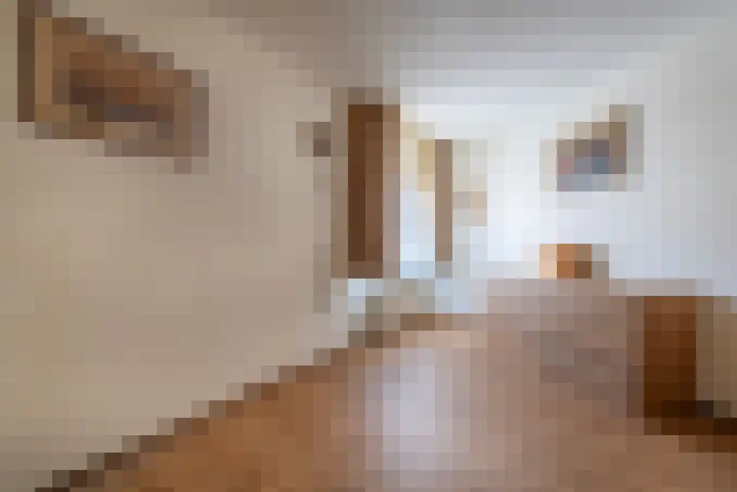 Frederik van de Paltshof 4 Rhenen thumbnail 30