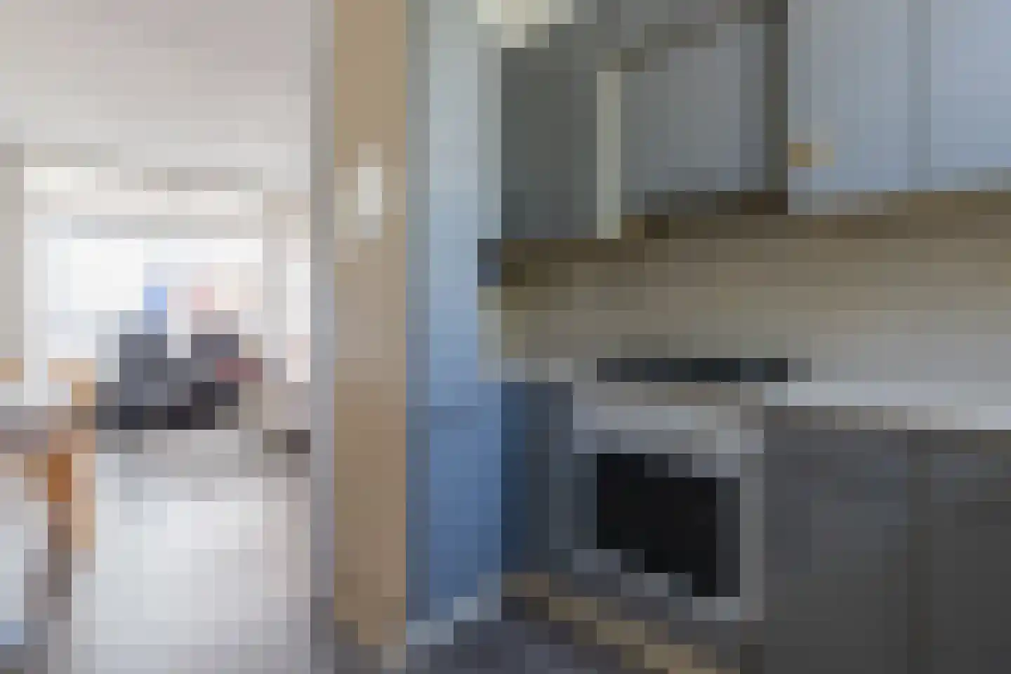 Frederik van Dorpstraat 11 Amsterdam thumbnail 10