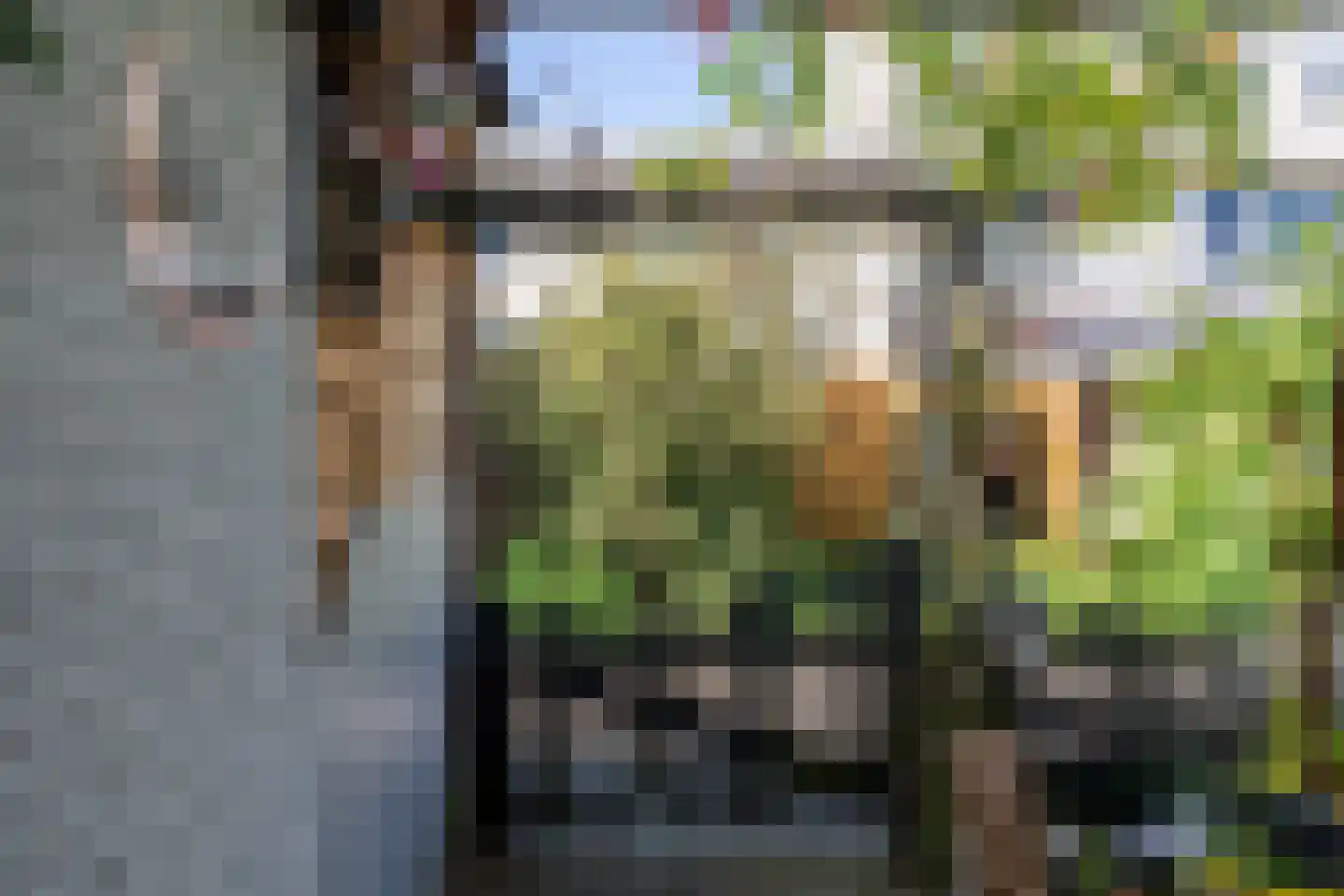 Frederik van Dorpstraat 11 Amsterdam thumbnail 48