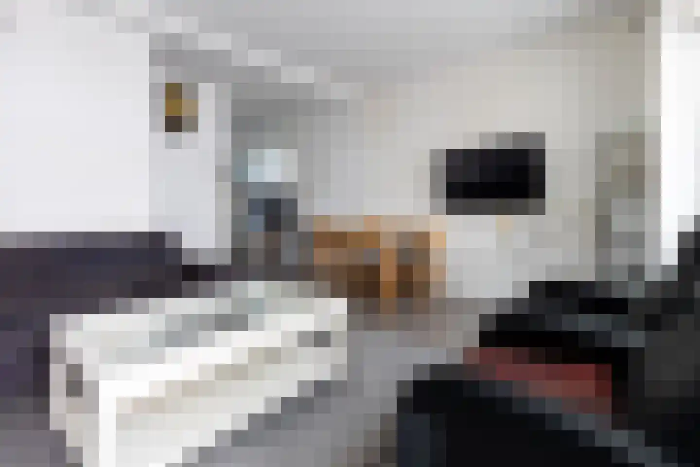Frederik van Dorpstraat 11 Amsterdam thumbnail 5
