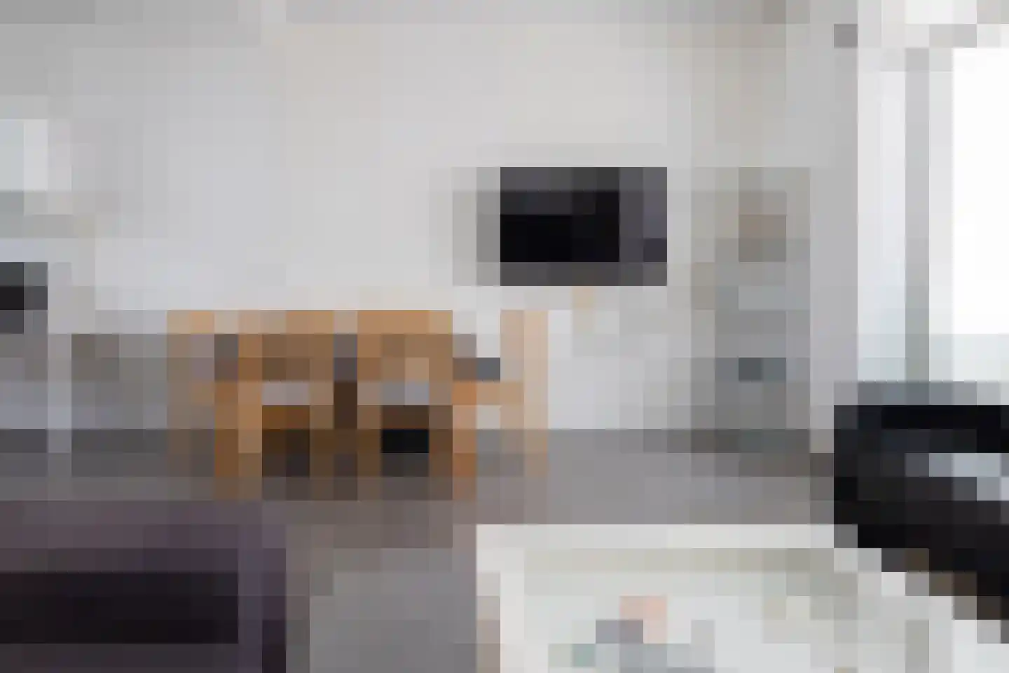 Frederik van Dorpstraat 11 Amsterdam thumbnail 7