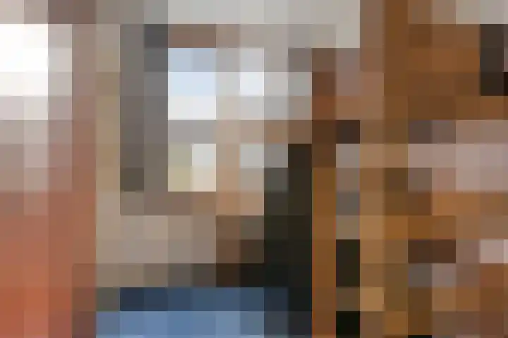 Frederik van Dorpstraat 33 Amsterdam thumbnail 18