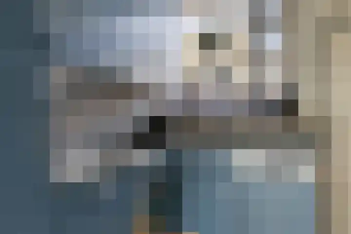Frederik van Dorpstraat 33 Amsterdam thumbnail 9