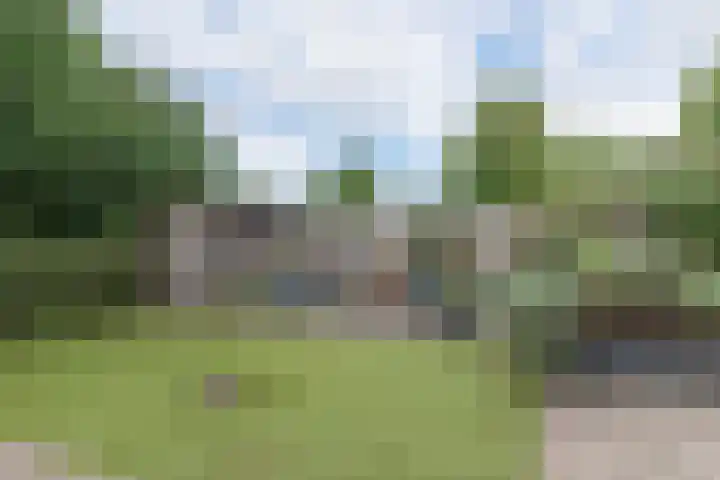 Frederik van Eedenhove 14 Nieuwegein thumbnail 29