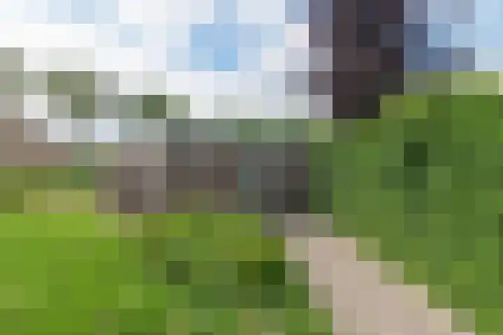 Frederik van Eedenhove 14 Nieuwegein thumbnail 32