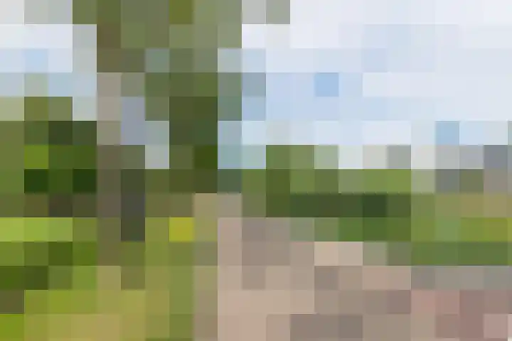Frederik van Eedenhove 14 Nieuwegein thumbnail 33