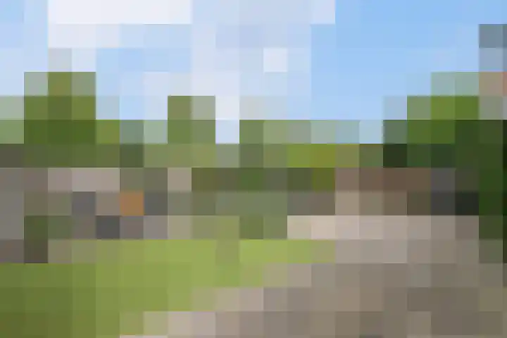 Frederik van Eedenhove 14 Nieuwegein thumbnail 5