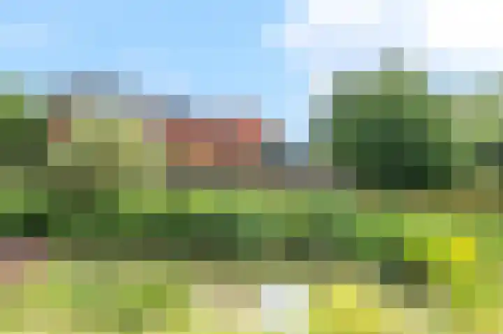 Frederik van Eedenhove 14 Nieuwegein thumbnail 6