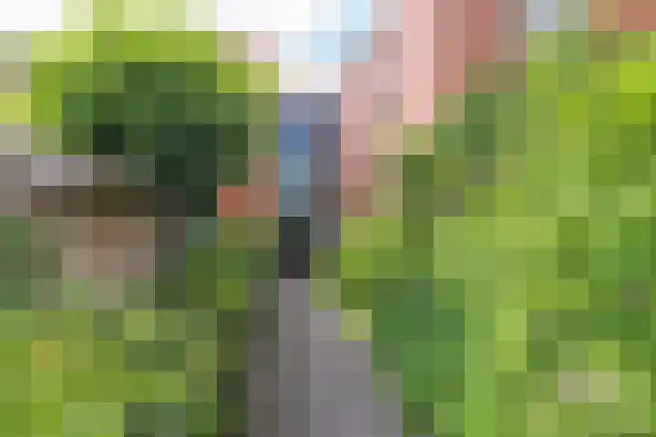 Frederik van Eedenhove 14 Nieuwegein thumbnail 8