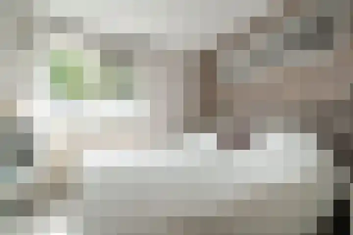 Frederik van Eedenhove 23 Nieuwegein thumbnail 13