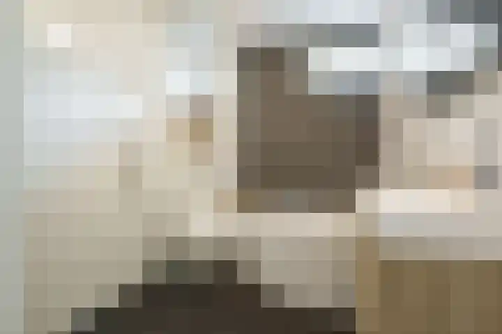 Frederik van Eedenhove 23 Nieuwegein thumbnail 16
