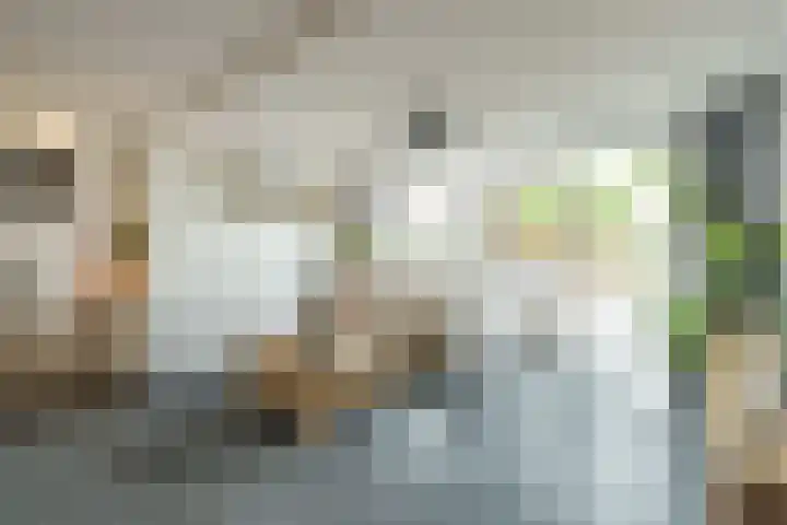 Frederik van Eedenhove 23 Nieuwegein thumbnail 7