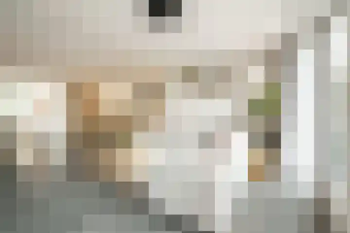 Frederik van Eedenhove 23 Nieuwegein thumbnail 8