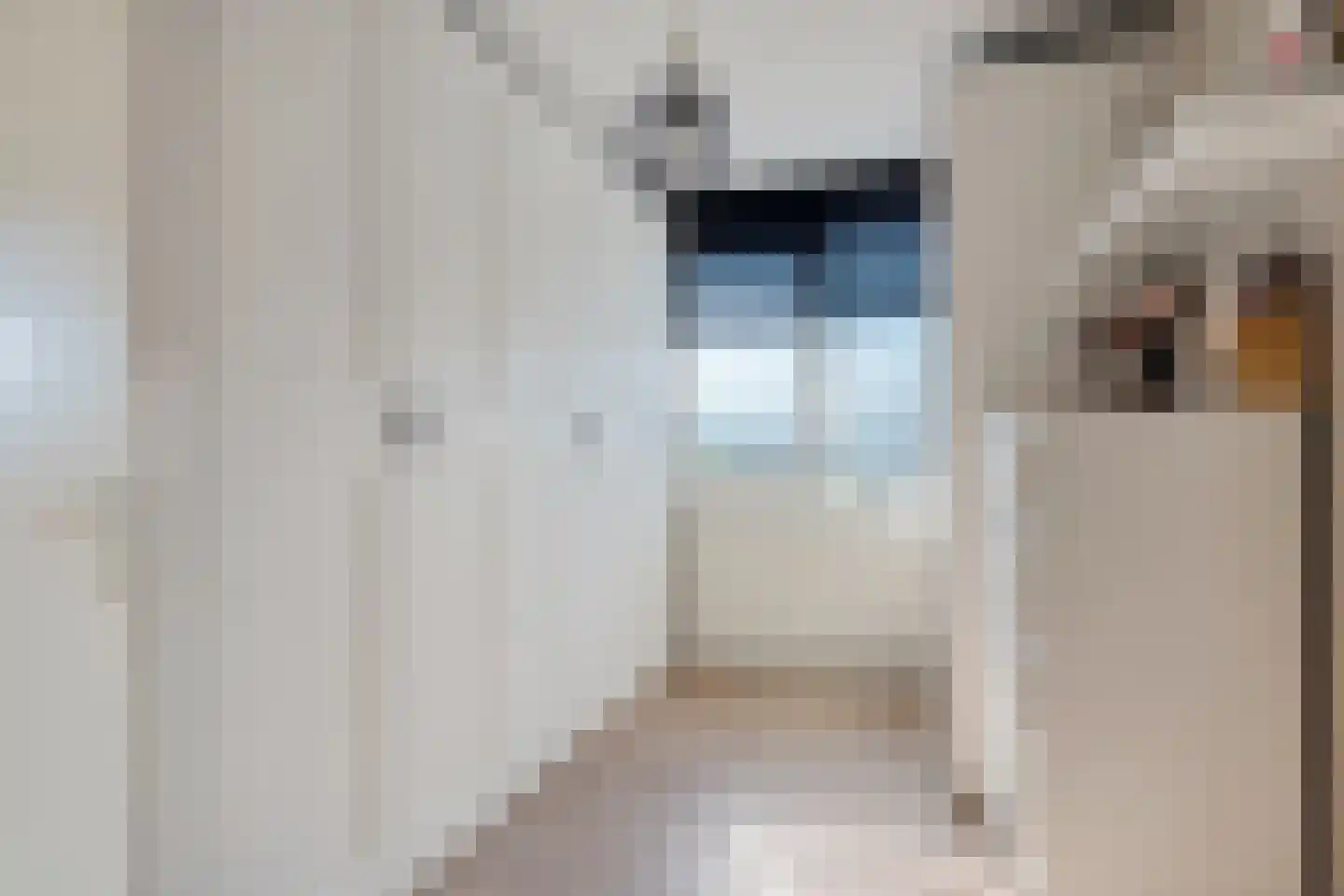 Frederik van Eedenhove 3 Nieuwegein thumbnail 22