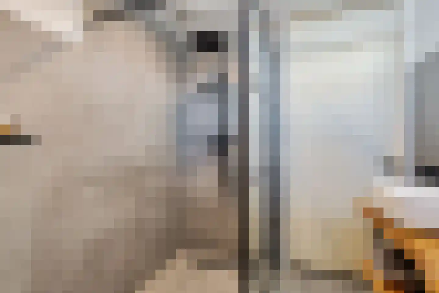 Frederik van Eedenhove 3 Nieuwegein thumbnail 25