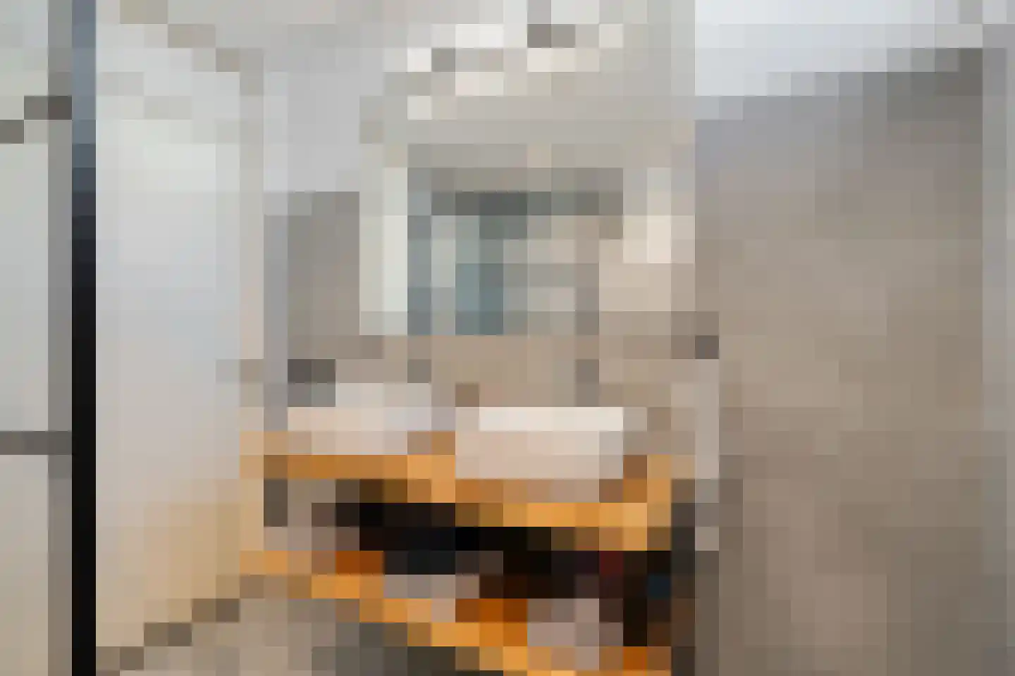Frederik van Eedenhove 3 Nieuwegein thumbnail 26