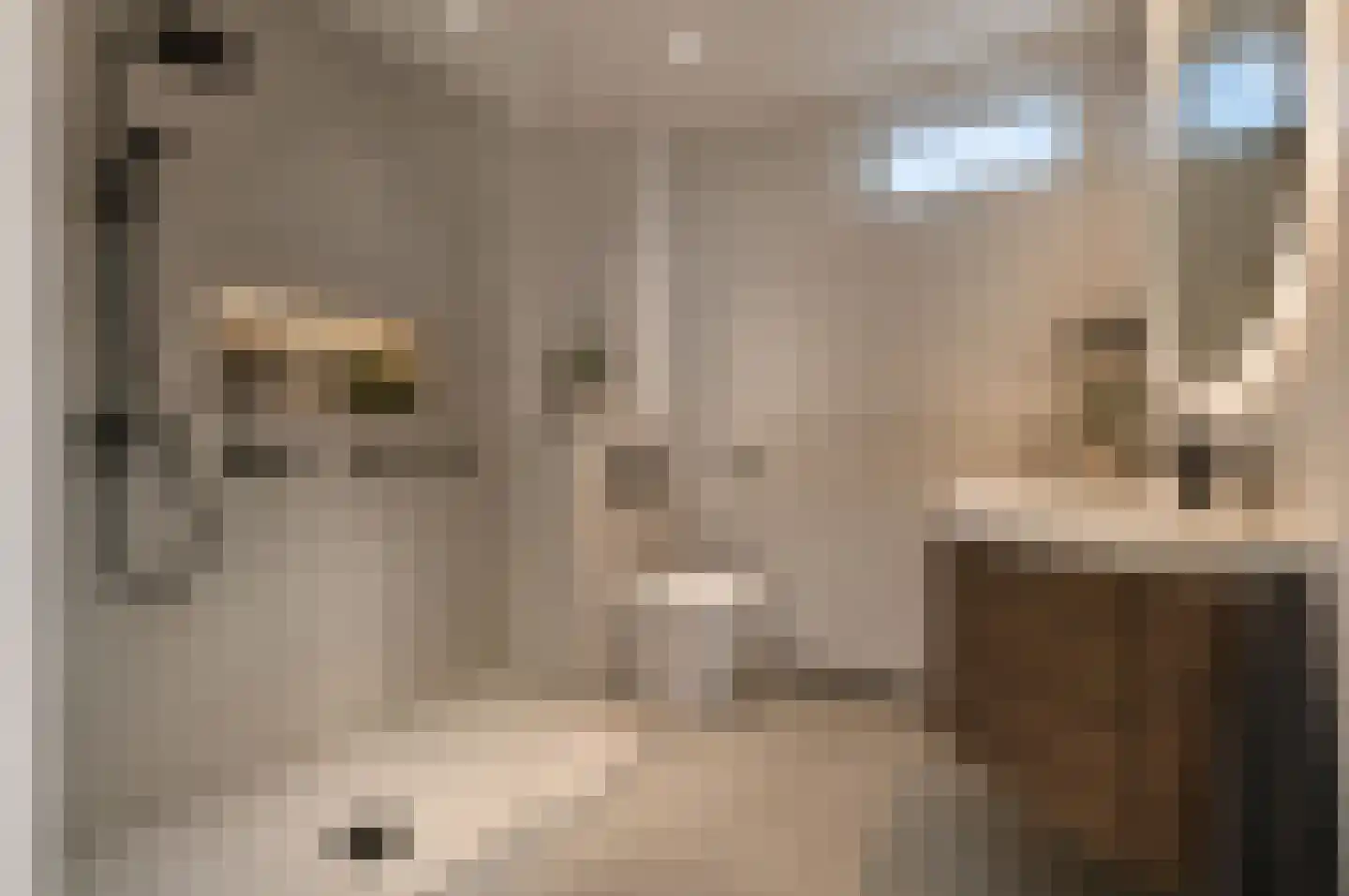 Frederik van Eedenhove 39 Nieuwegein thumbnail 24