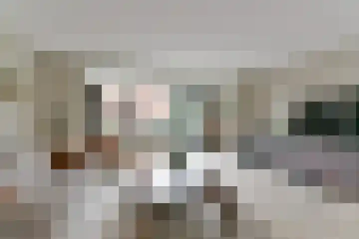 Frederik van Eedenhove 7 Nieuwegein thumbnail 13